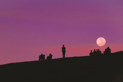 silhouette of people in front of purple sky and moon