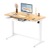 Flexispot Standing Desk